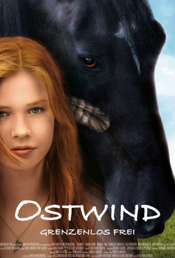 Фильм Оствинд / Восточный ветер (2013) смотреть онлайн